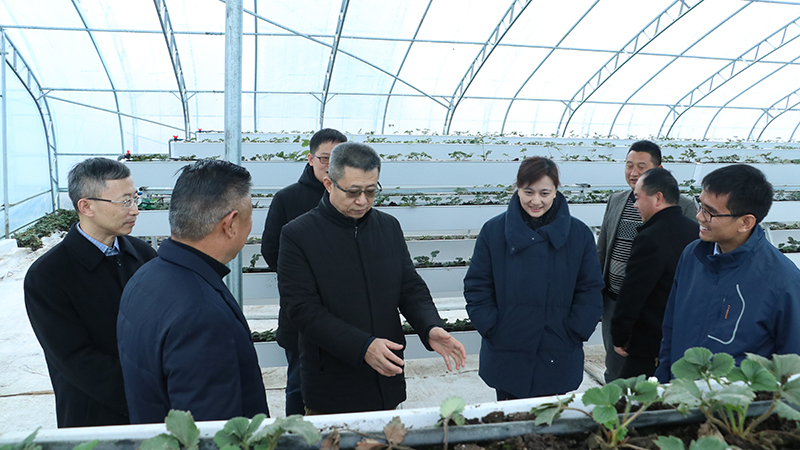 好博(中国)体育智能科技股份有限公司网站