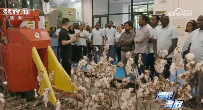 好博(中国)体育智能科技股份有限公司网站