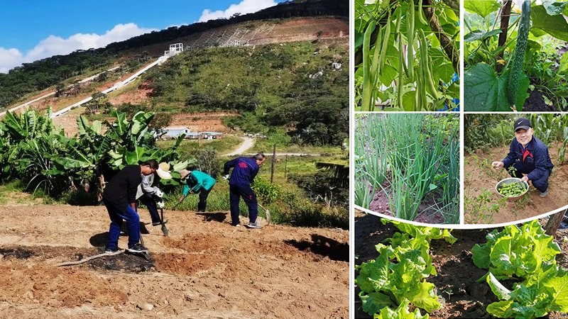 好博(中国)体育智能科技股份有限公司网站