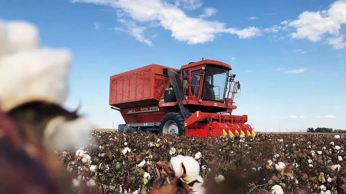 好博(中国)体育智能科技股份有限公司网站