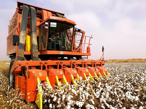 好博(中国)体育智能科技股份有限公司网站